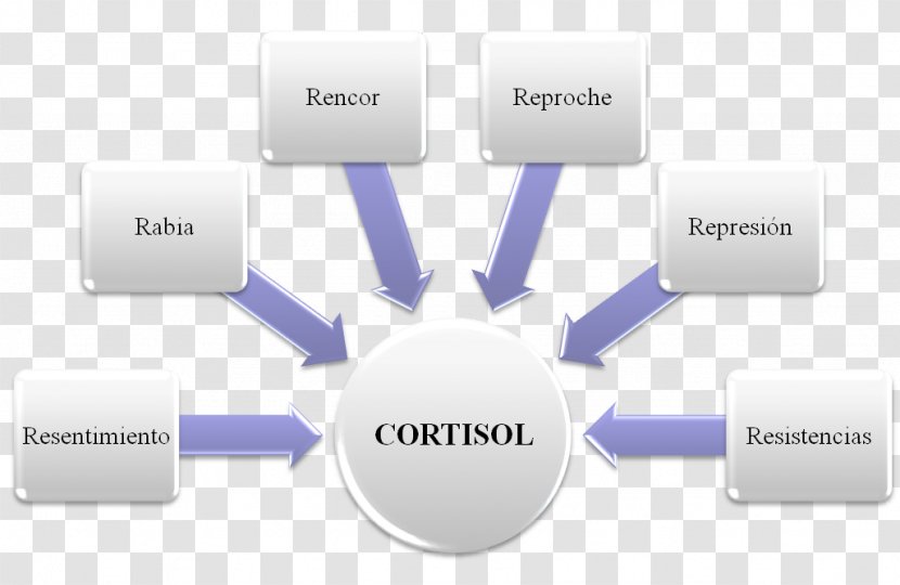 Word Processor Computer Software Text Therapy Disease - Electronics Accessory - Blood Pressure Transparent PNG