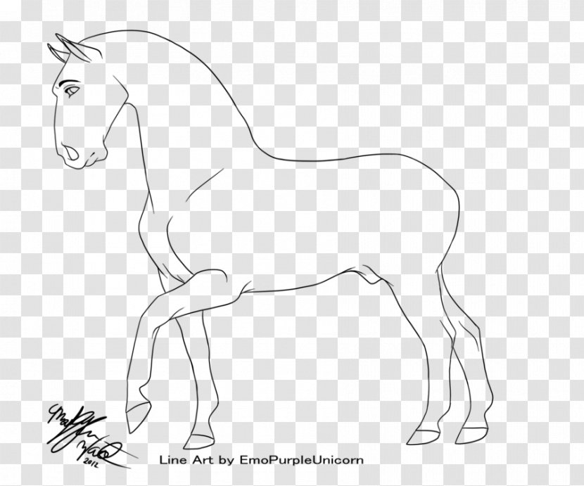 Mule Foal Stallion Colt Bridle - Nose - Mustang Transparent PNG
