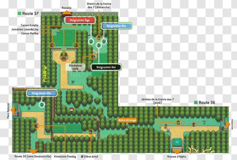 Pokémon HeartGold And SoulSilver Gold Silver Kanto Johto - Plan - Herbes Transparent PNG