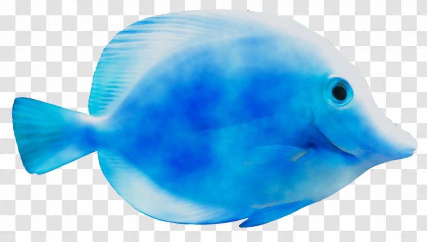 Dolphin Water Coral Reef Fish Marine Biology - Sea - Electric Blue Transparent PNG