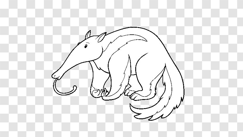 Anteater Vector Graphics Illustration Coloring Book Stock Photography - Organism - El Oso Hormiguero Gigante Transparent PNG