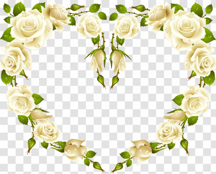 Picture Frames Garden Roses Clip Art Vector Graphics - Floristry - Rose Transparent PNG
