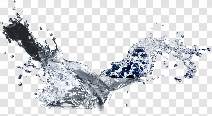 Water Splash Liquid - Chart - Ice Transparent PNG