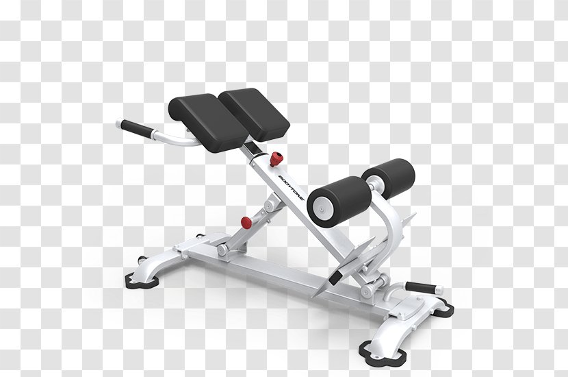 Hyperextension Bench Roman Chair Fitness Centre Strength Training - Press - Weights Transparent PNG