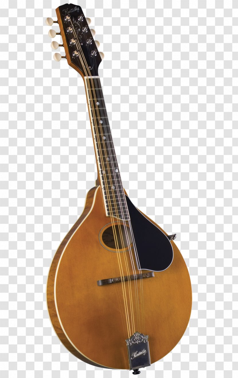 Mandolin Musical Instruments Sound Hole Ukulele Kentucky - Watercolor Transparent PNG