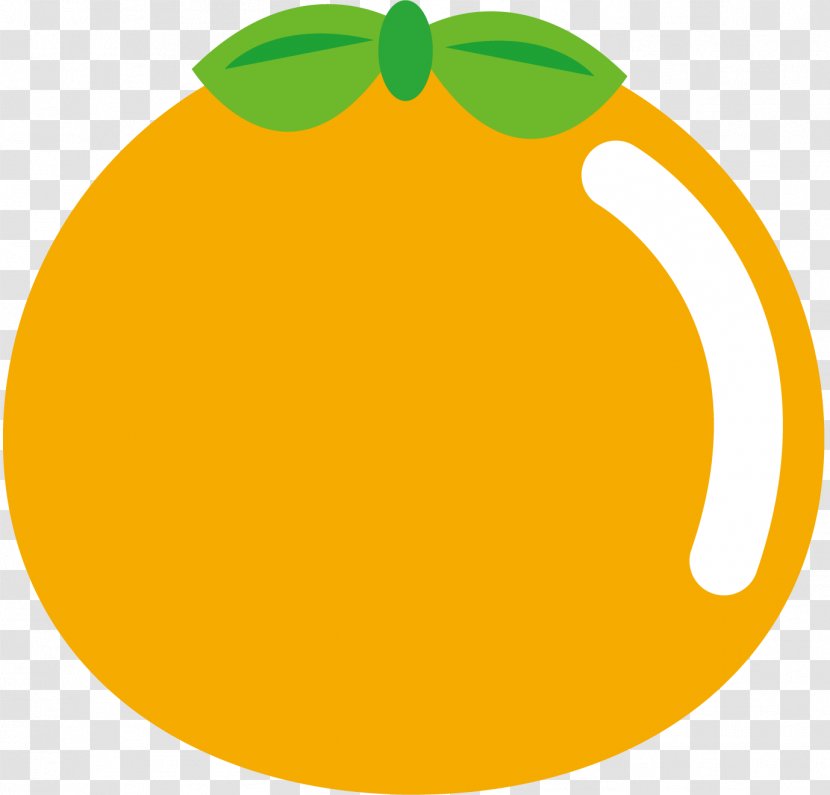 Orange. - Orange - Area Transparent PNG