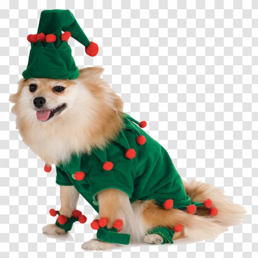 Dog Santa Claus Amazon.com Costume Pet - Like Mammal - Clothes Transparent PNG