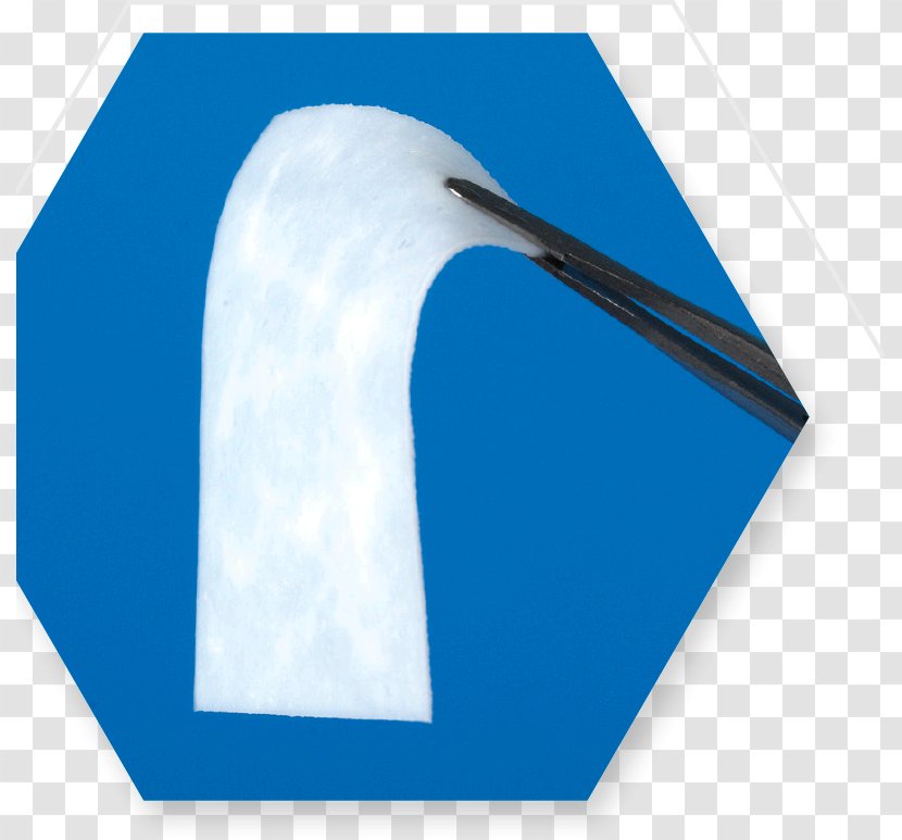 Beak Angle Font - Wing - Design Transparent PNG
