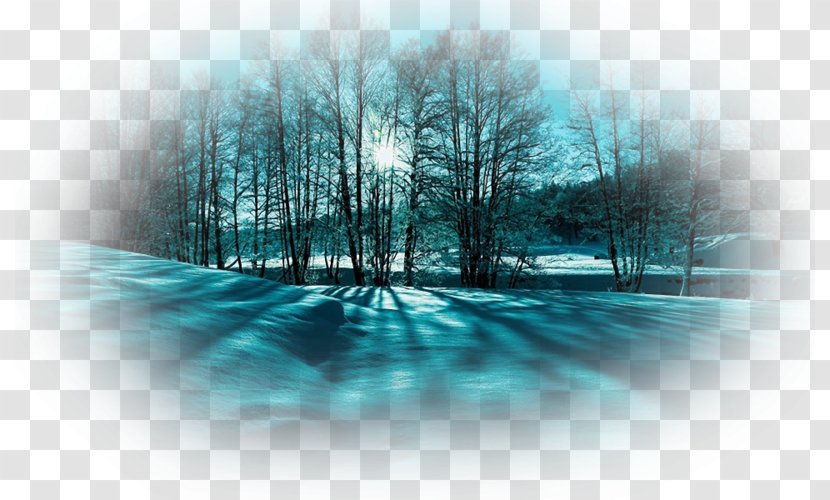 Desktop Wallpaper Bliss Snow High-definition Television 1080p - Tree Transparent PNG