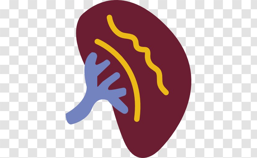 Diseases Icon - Urology - Logo Transparent PNG