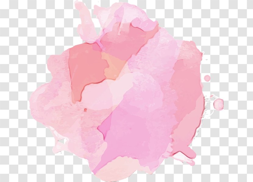 Watercolor Flower Background - Wet Ink - Plant Cloud Transparent PNG