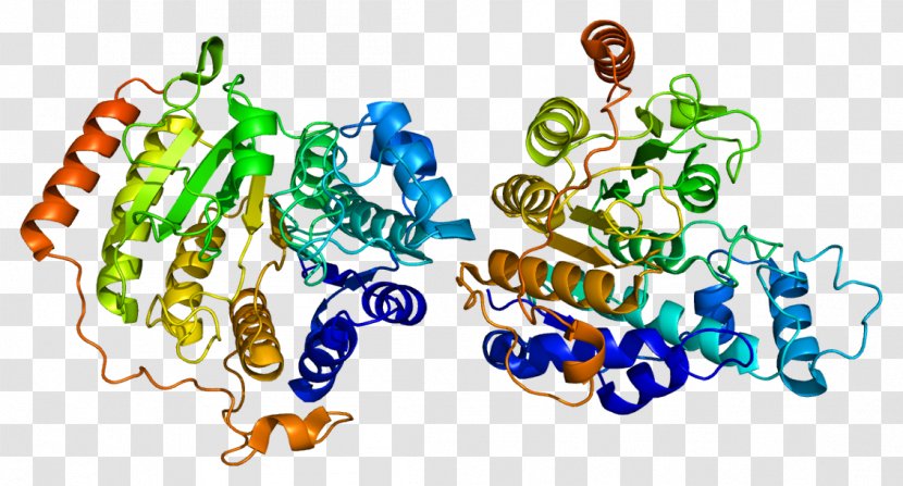 Histone Deacetylase Inhibitor HDAC8 Code - Wikipedia Transparent PNG