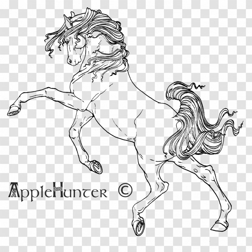 Mane Mustang Stallion Bridle Colt - Pack Animal Transparent PNG