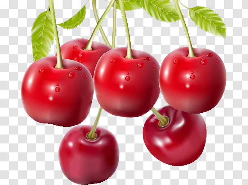 Barbados Cherry Malpighia Glabra Auglis - Superfood Transparent PNG