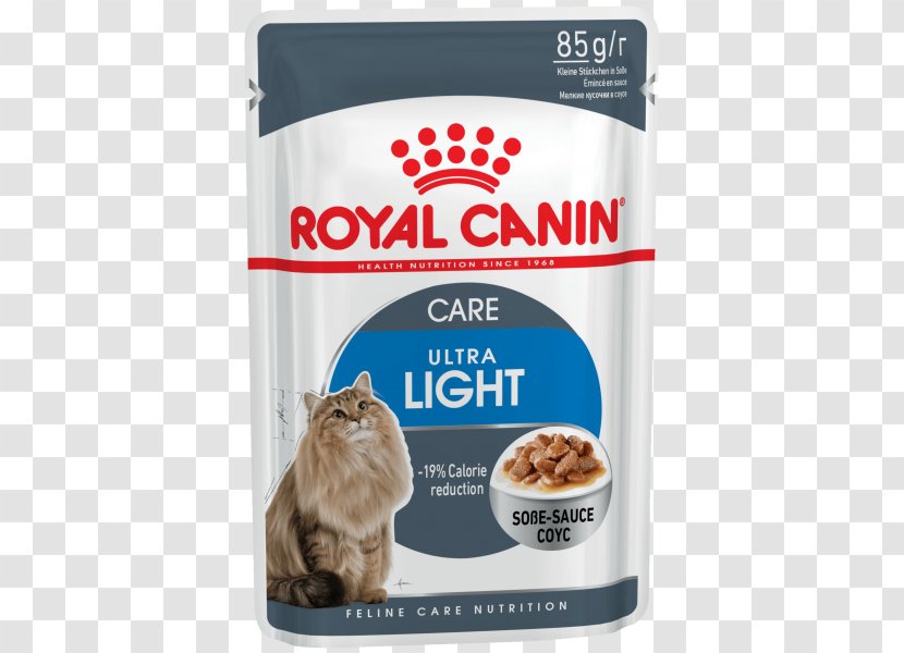 Cat Food Maine Coon Dog Kitten Royal Canin - Gravy Transparent PNG