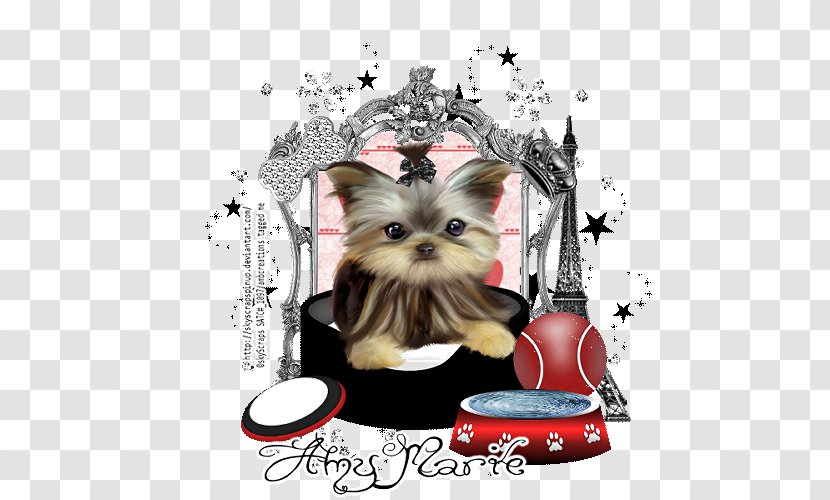 Yorkshire Terrier Puppy Dog Breed Toy Canidae - Crossbreeds - Posh Transparent PNG