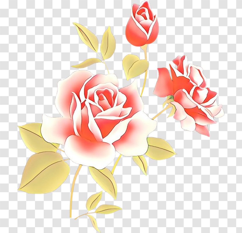 Garden Roses - Rose Family Transparent PNG