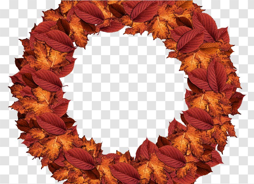 Autumn Wreath - Leaf Color - Interior Design Plant Transparent PNG