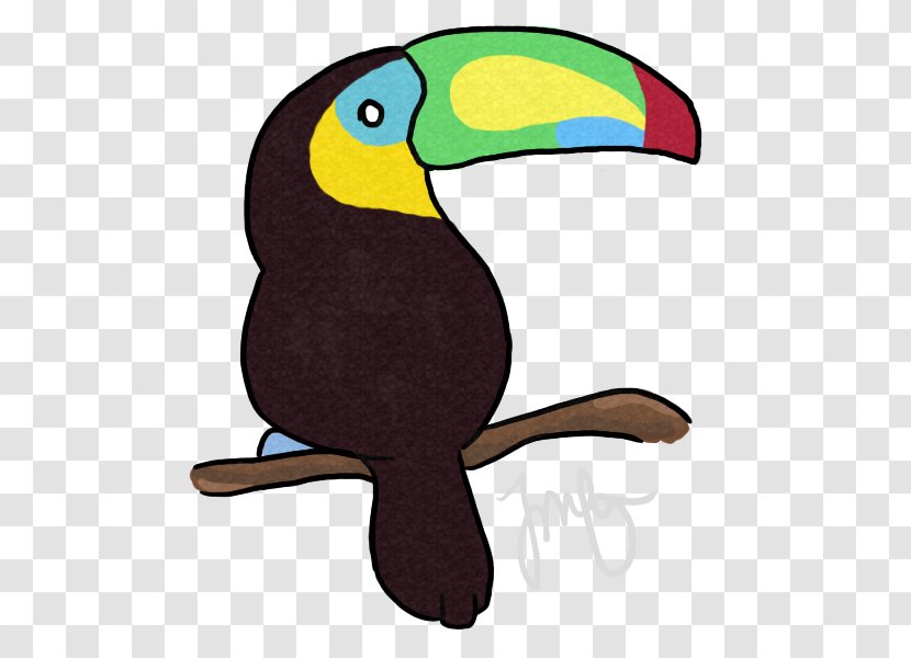 Parrot Bird Toucan Beak Piciformes Transparent PNG