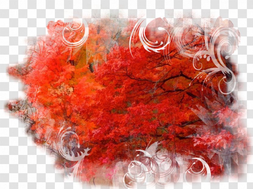 Red Collage Flower Clip Art - Petal - Autumn Transparent PNG