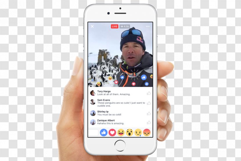 Streaming Media Facebook Livestream Live Social - Technology - Advertising Transparent PNG
