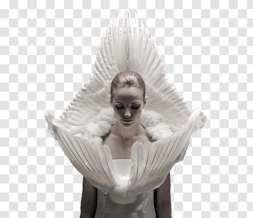 Kate Moss Haute Couture Roadkill Designer Clothing - Angel Transparent PNG