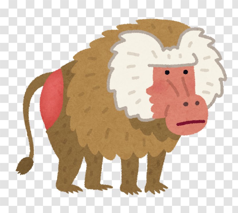 Hamadryas Baboon Japanese Macaque Monkey いらすとや - Baboons Transparent PNG