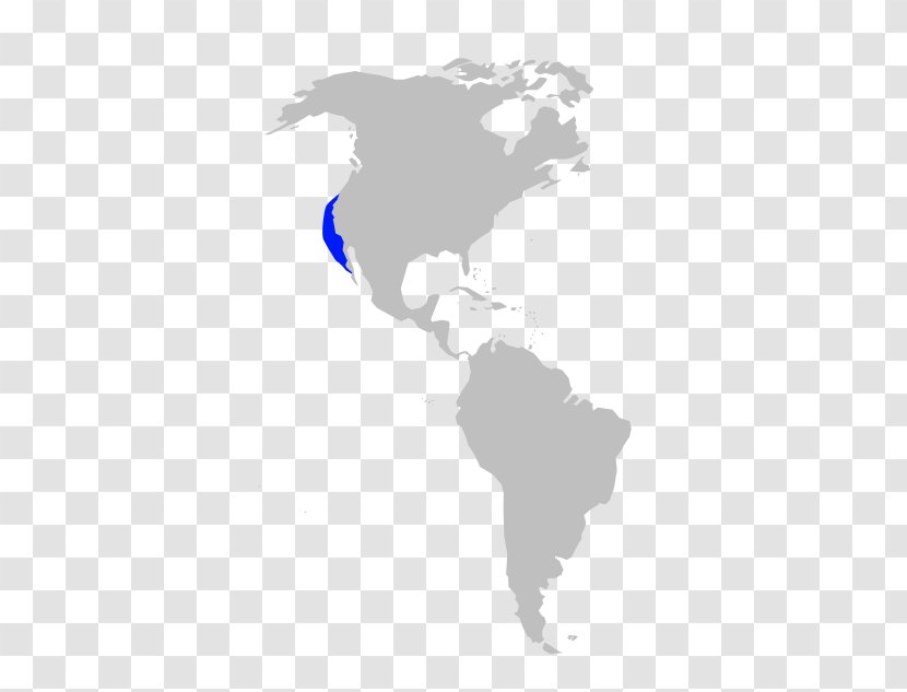 United States South America Mexico Country Canada Transparent PNG