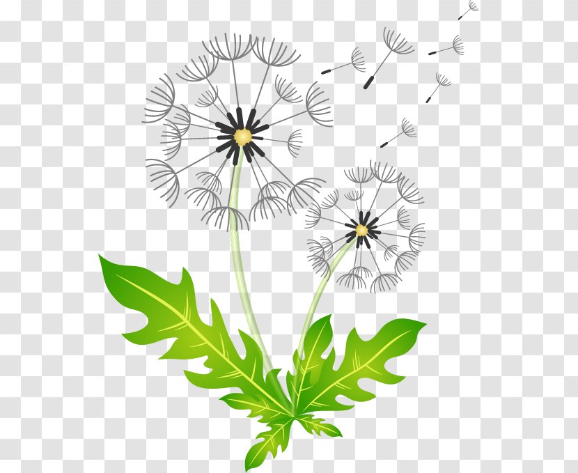 Royalty-free Dandelion Illustration - Cartoon - Hand-painted Pattern Transparent PNG