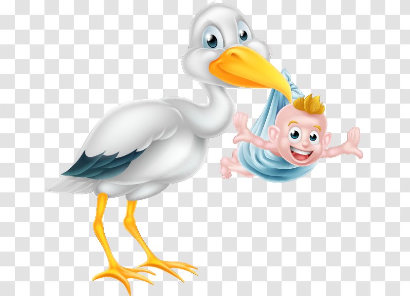 Infant Childbirth - Organism - Stork Transparent PNG