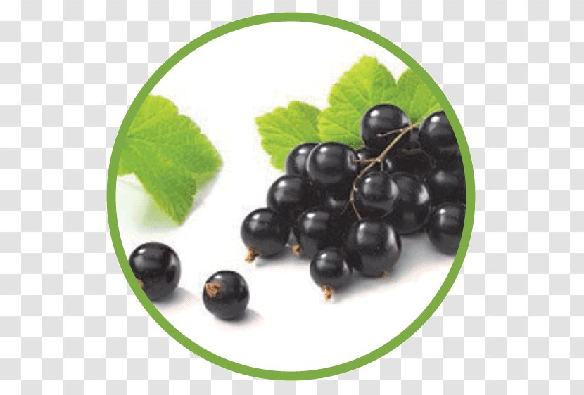 Juice Blackcurrant Seed Oil Extract - Food Transparent PNG