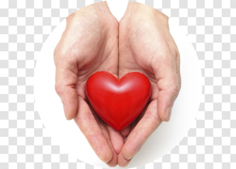 Cardiovascular Disease Heart Health Acute Myocardial Infarction Transparent PNG