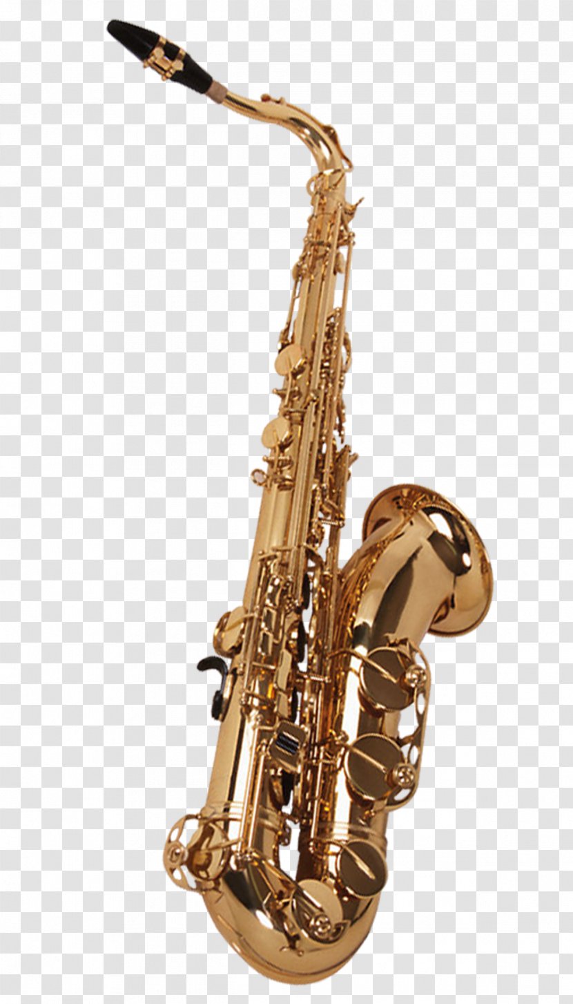 Baritone Saxophone Musical Instrument Orchestra - Flower - Instruments Transparent PNG