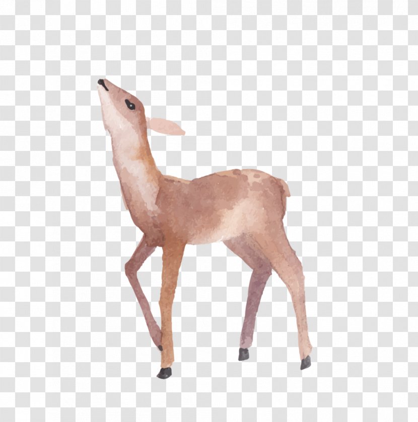 Deer Watercolor Painting - Raster Graphics Transparent PNG