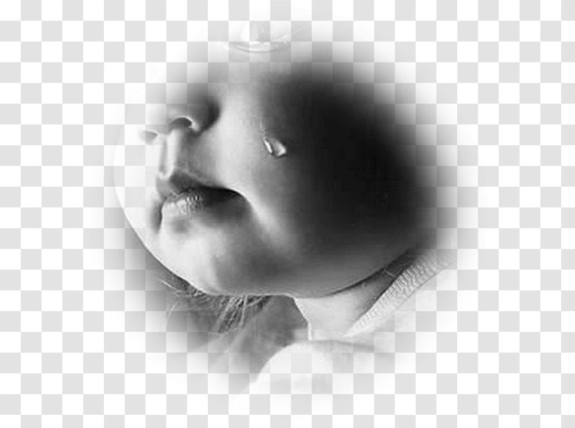 Crying Infant Cuteness Sadness - Tree - Center Transparent PNG