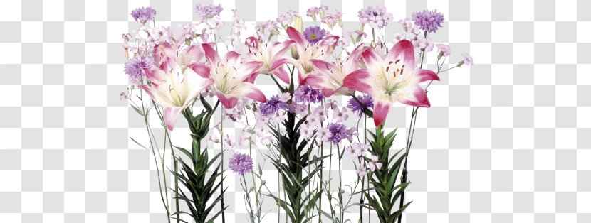 Floral Design Cut Flowers Flower Bouquet Lilium Transparent PNG