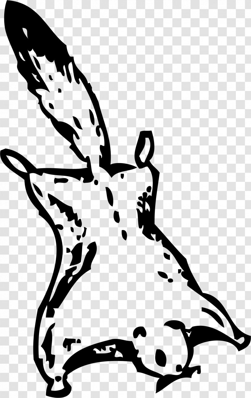 Flying Squirrel Clip Art - Carnivoran Transparent PNG