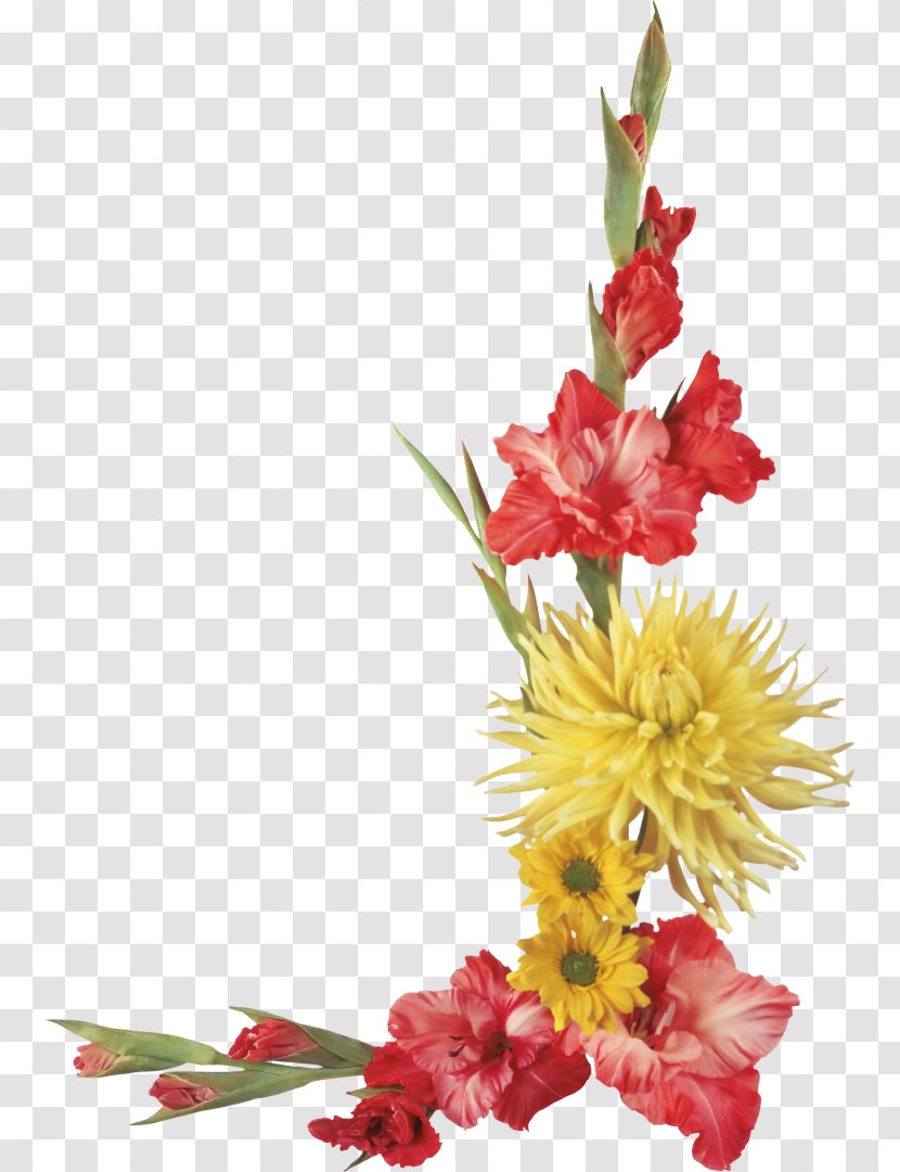 Flower Clip Art - Iris Family - Gladiolus Transparent PNG