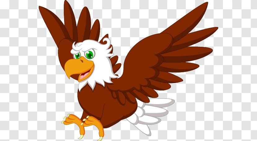 Bald Eagle Drawing Clip Art - Cartoon Transparent PNG