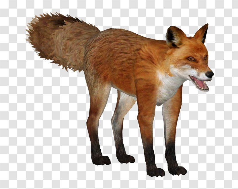 Zoo Tycoon 2 Kit Fox Dhole Wiki - Animal Transparent PNG