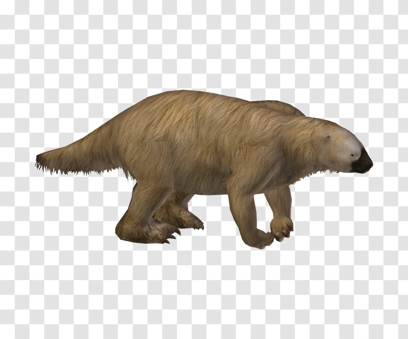 Zoo Tycoon 2 Hoffmann's Two-toed Sloth Ground Megalonyx - Wildlife Transparent PNG