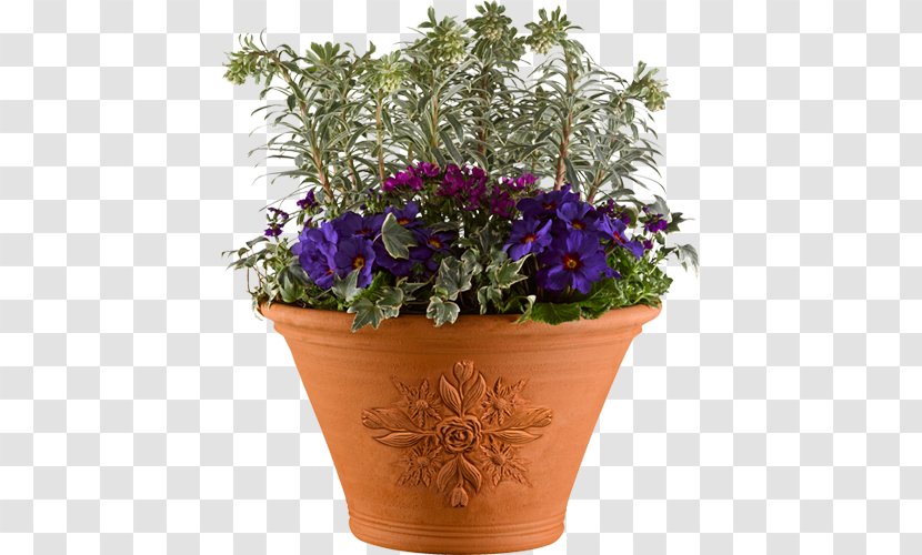 Chelsea Flower Show Flowerpot Houseplant - Violet - Pot Transparent PNG