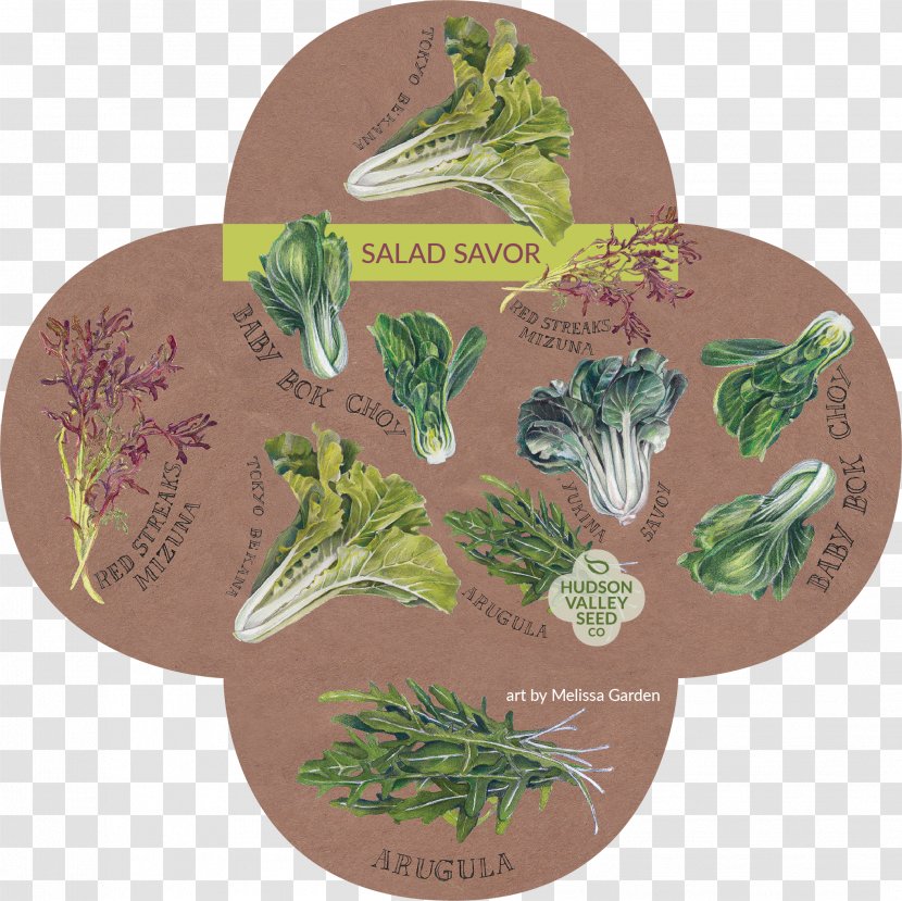 Hudson Valley Seed Company Herb Leaf Vegetable Library - Plant Transparent PNG