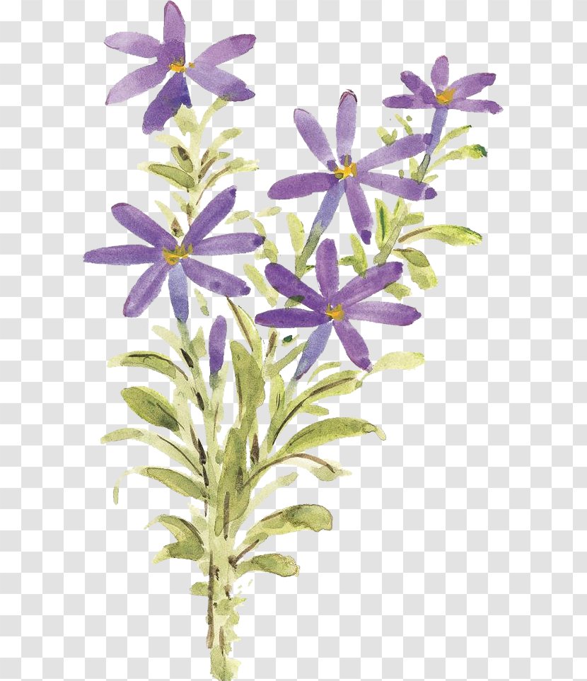 Ink Wash Painting Chinese Flower Purple Gongbi - Flowering Plant - Flowers Transparent PNG