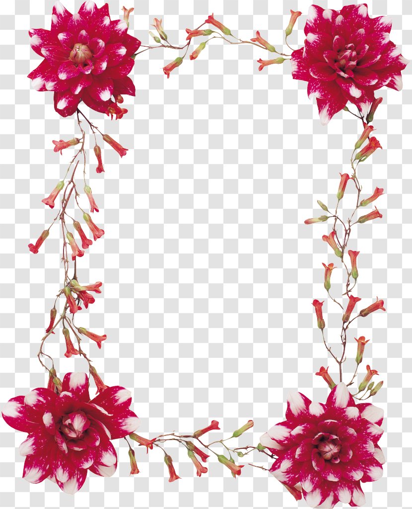 Cut Flowers Floral Design Floristry Petal - Branch - Mahavir Transparent PNG