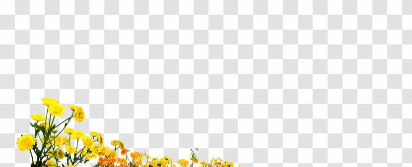 Petal Yellow Pattern - Flower - Chrysanthemum Transparent PNG