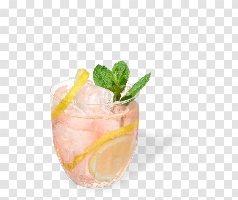 Cocktail Garnish Gin And Tonic Sea Breeze Mai Tai Transparent PNG