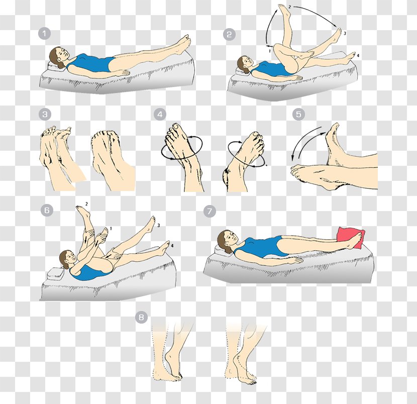 Exercise Hygiene Physical Activity Vein Plyometrics - Jaw - Varices Transparent PNG