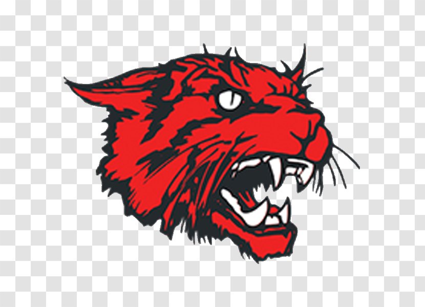 New London High School, Huron County, Ohio Local School District Wildcat Drive Crestview Wynford - Logo Transparent PNG