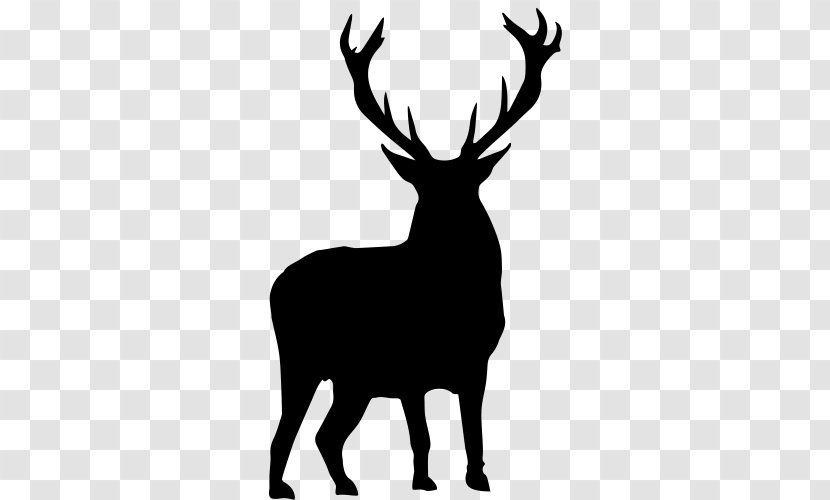 Red Deer Elk Clip Art - Wildlife Transparent PNG